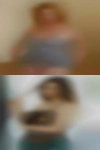 Perrinegrajeda781, , 