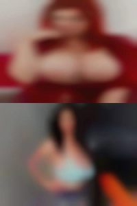 cardillocatalanatto, , 