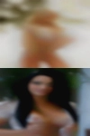 Pussy New Zealand now